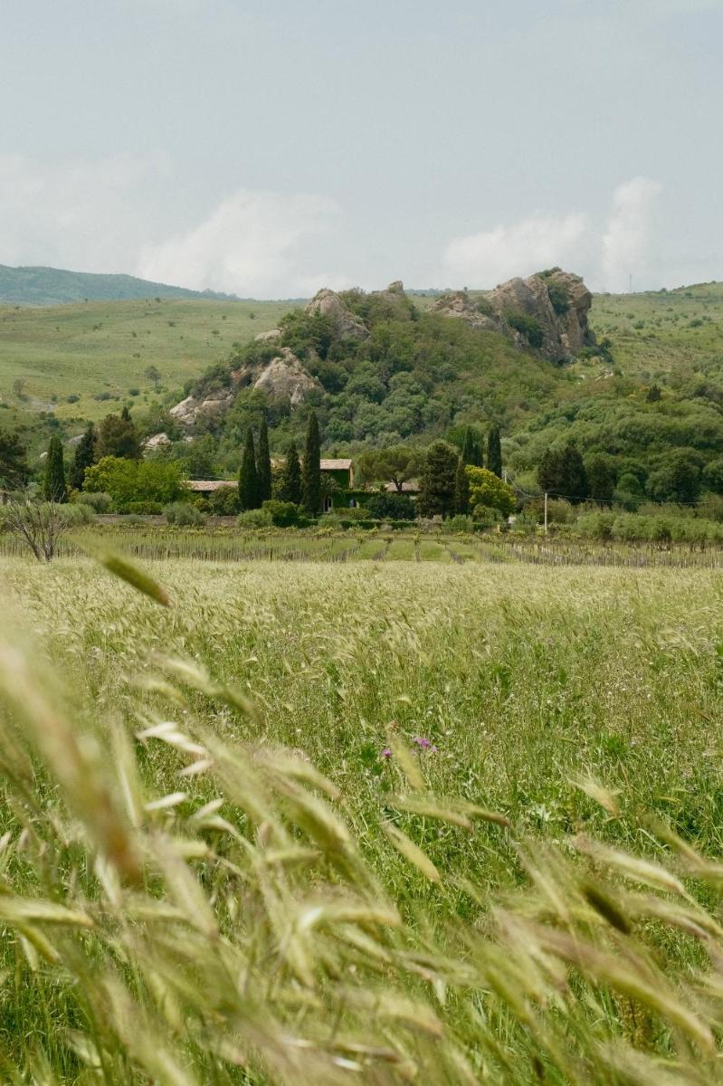 Tenuta Rustìca 1519