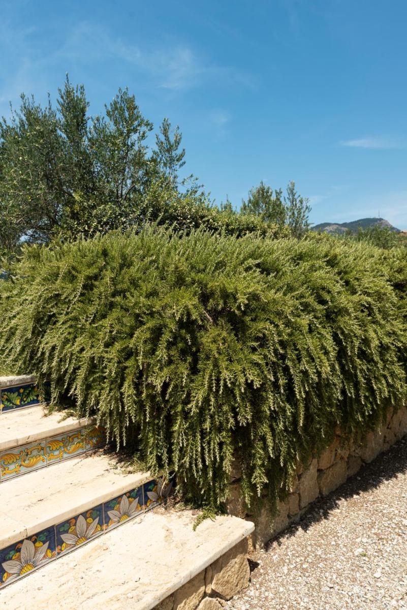 Tenute Baglio Passofondo