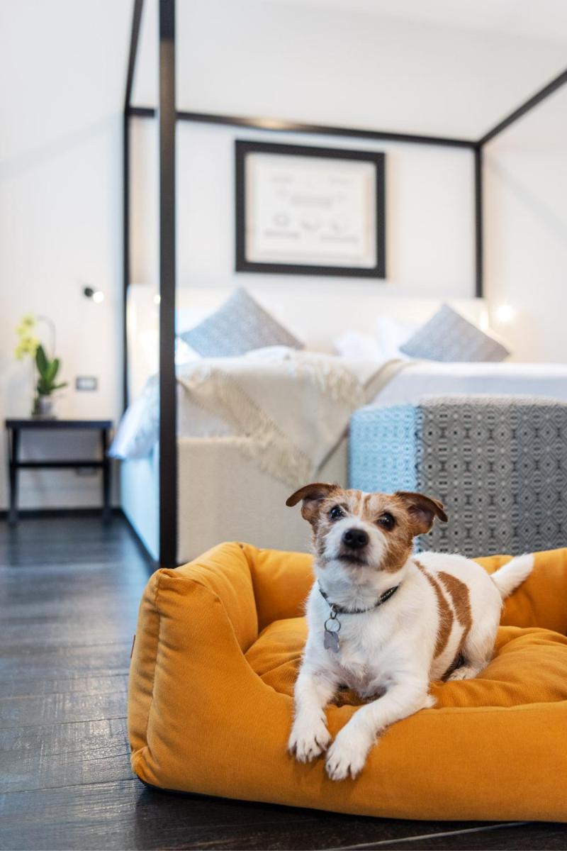 Terme di Relilax Boutique Hotel & Spa