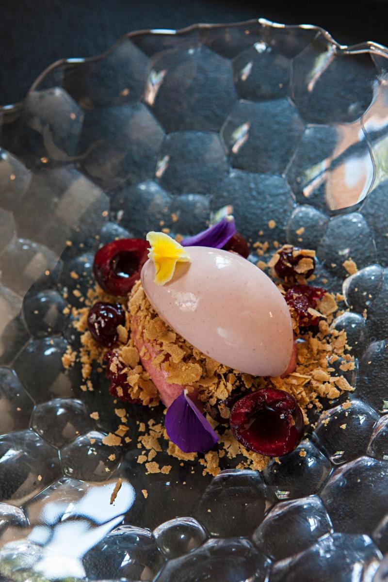 Terra Dominicata - Hotel & Winery - Adults Only