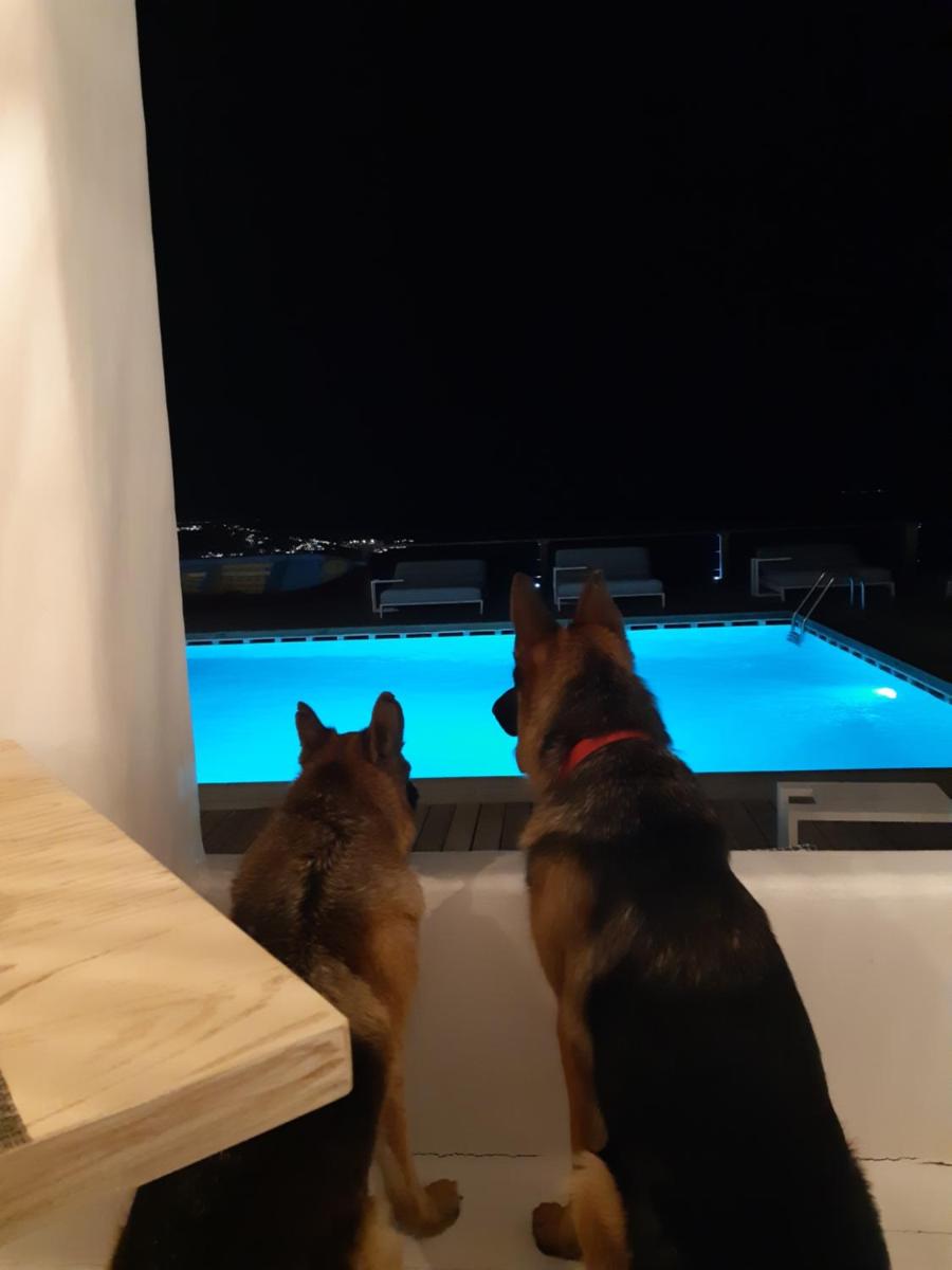Tharroe of Mykonos Boutique Hotel