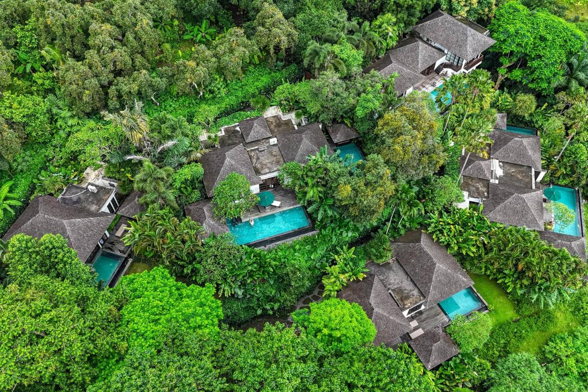 The Damai