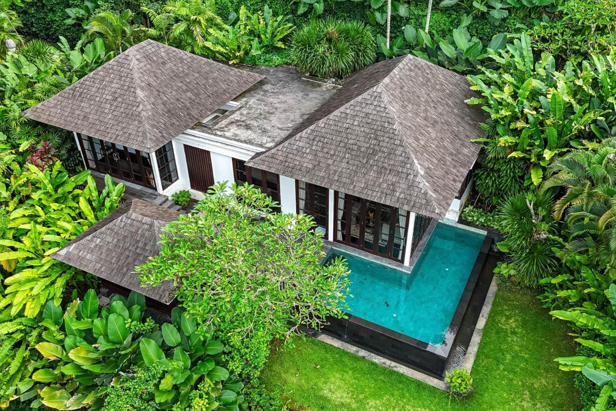 The Damai