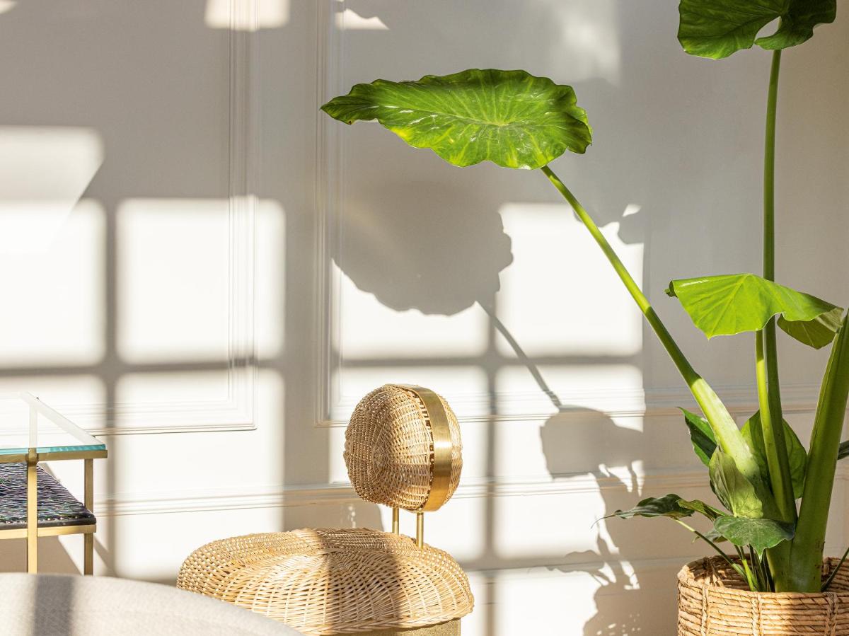 The Dolli at Acropolis, A Hotel to Live