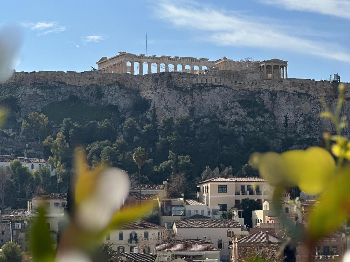 The Dolli at Acropolis, A Hotel to Live