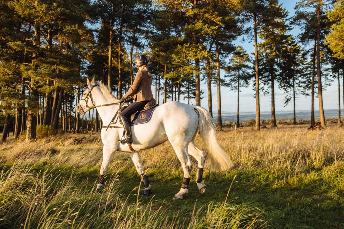 The Gleneagles Hotel