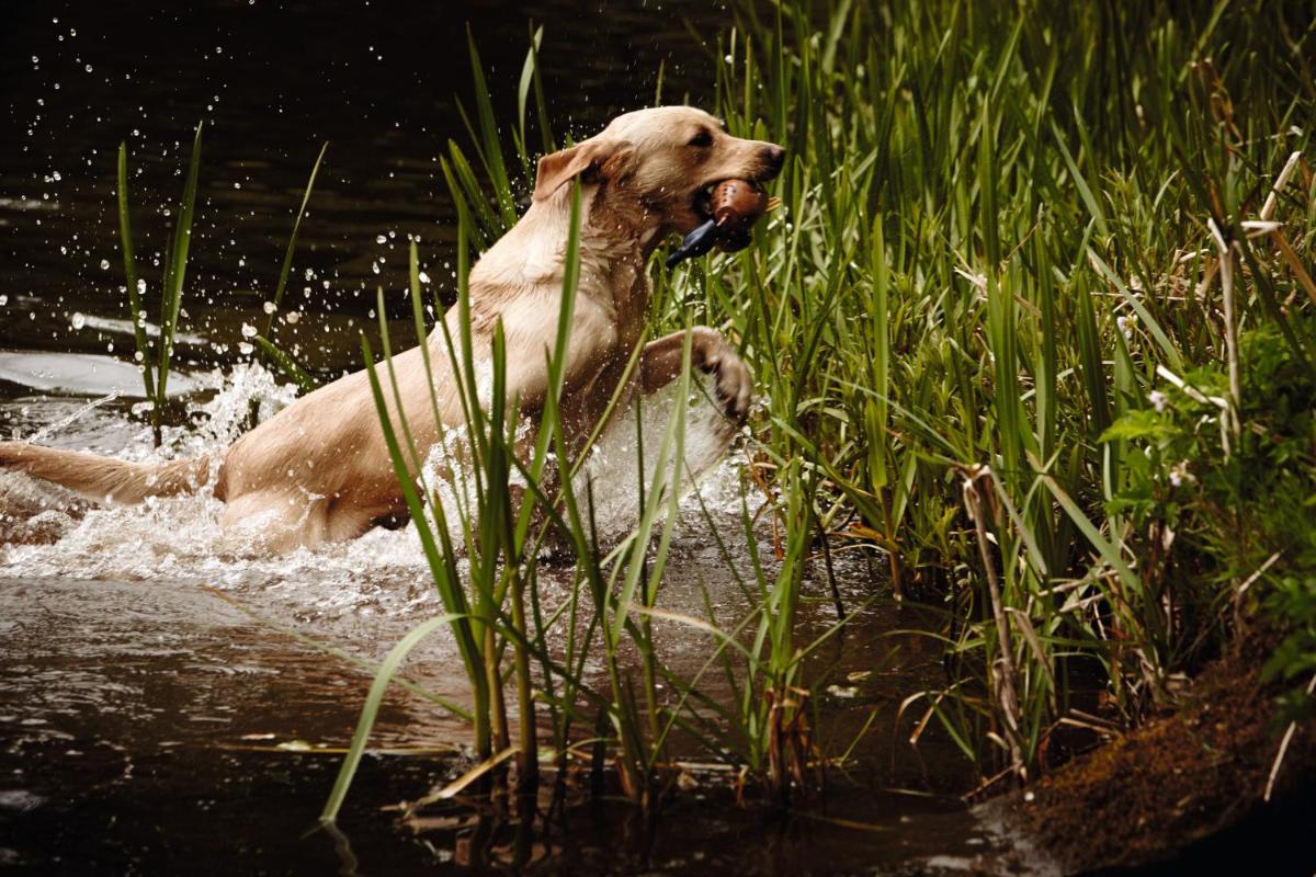 The Gleneagles Hotel