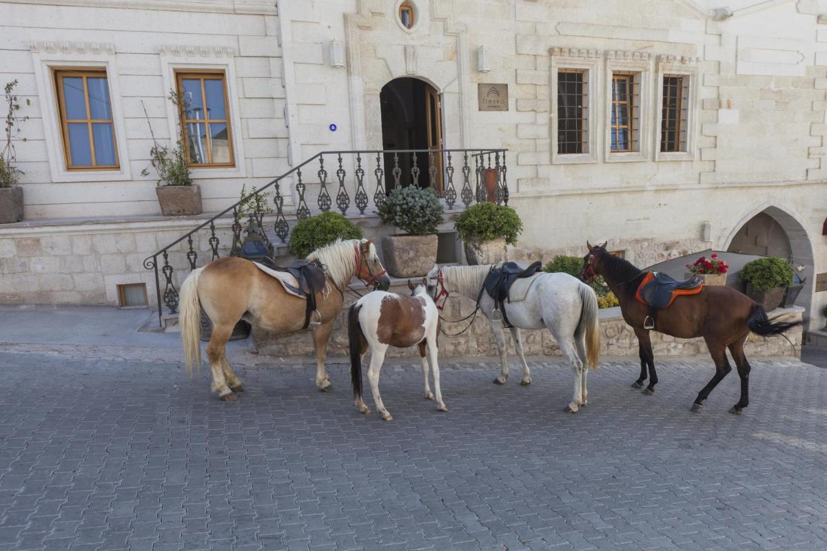 Exedra Cappadocia