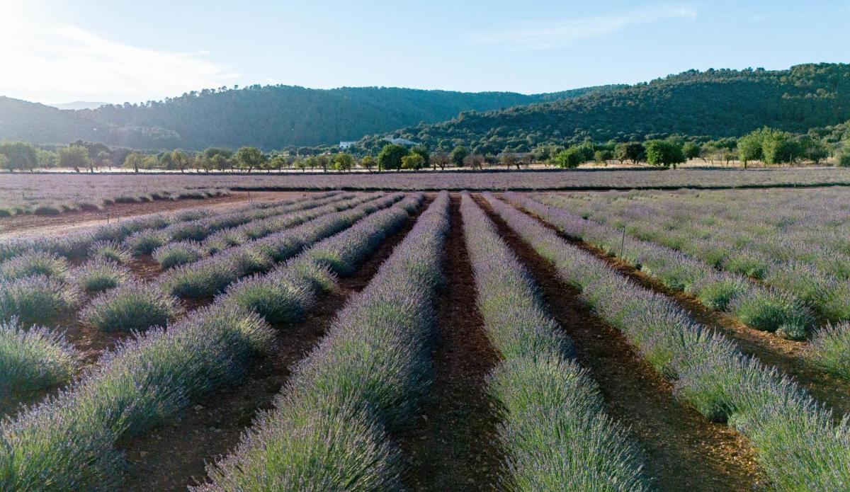 The Lodge Mallorca, Small Luxury Hotels
