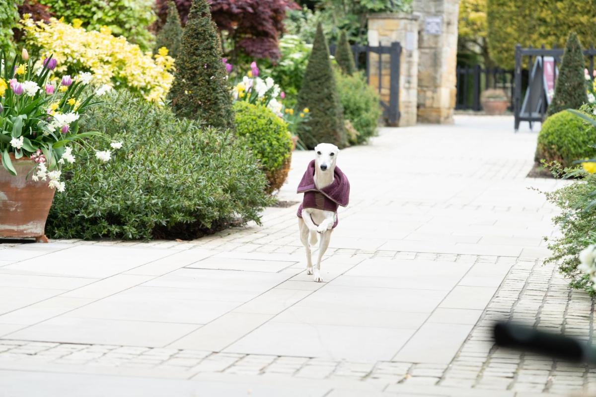 The Lygon Arms - an Iconic Luxury Hotel