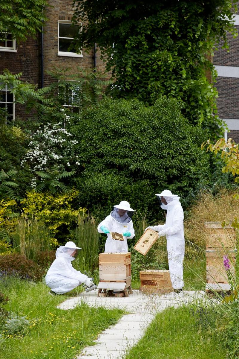 The Montague On The Gardens