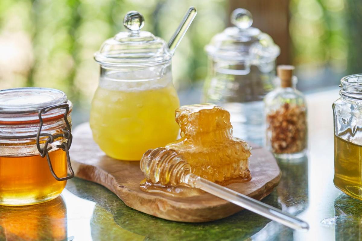 The Montague On The Gardens