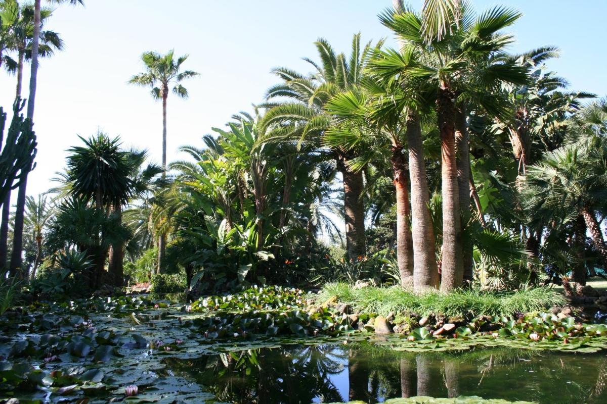 Deluxe Villas by Don Carlos Resort