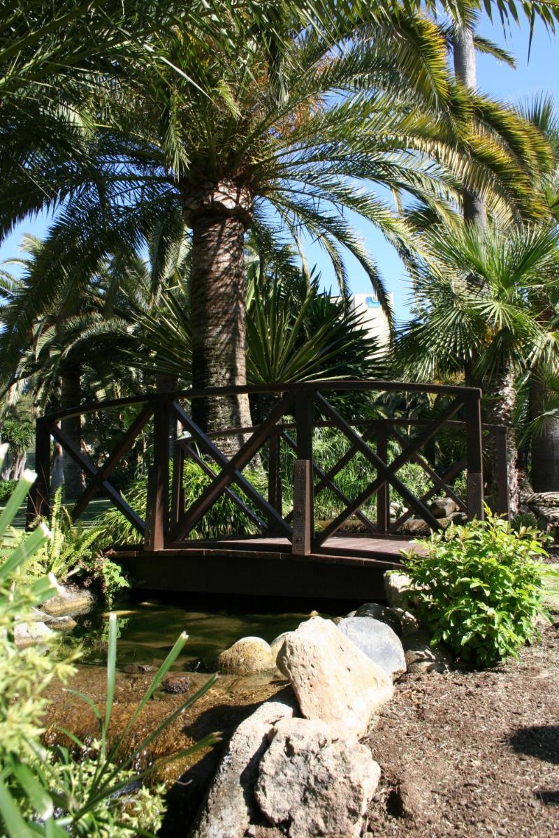 Deluxe Villas by Don Carlos Resort