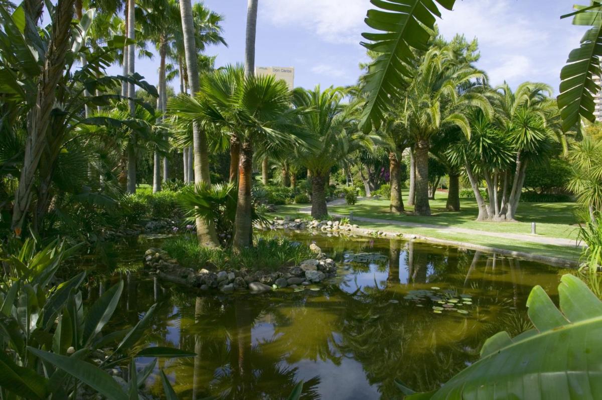 Deluxe Villas by Don Carlos Resort