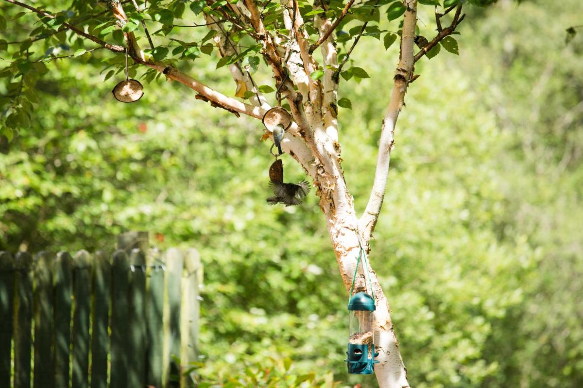 The Old Minister's House