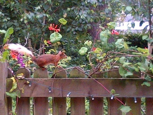 The Old Minister's House