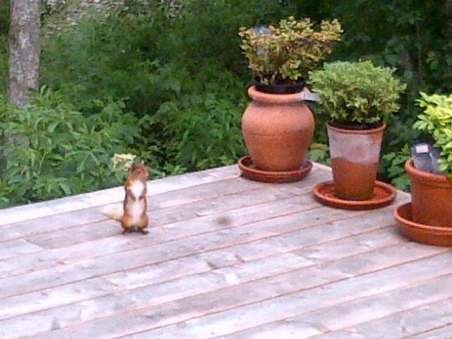 The Old Minister's House