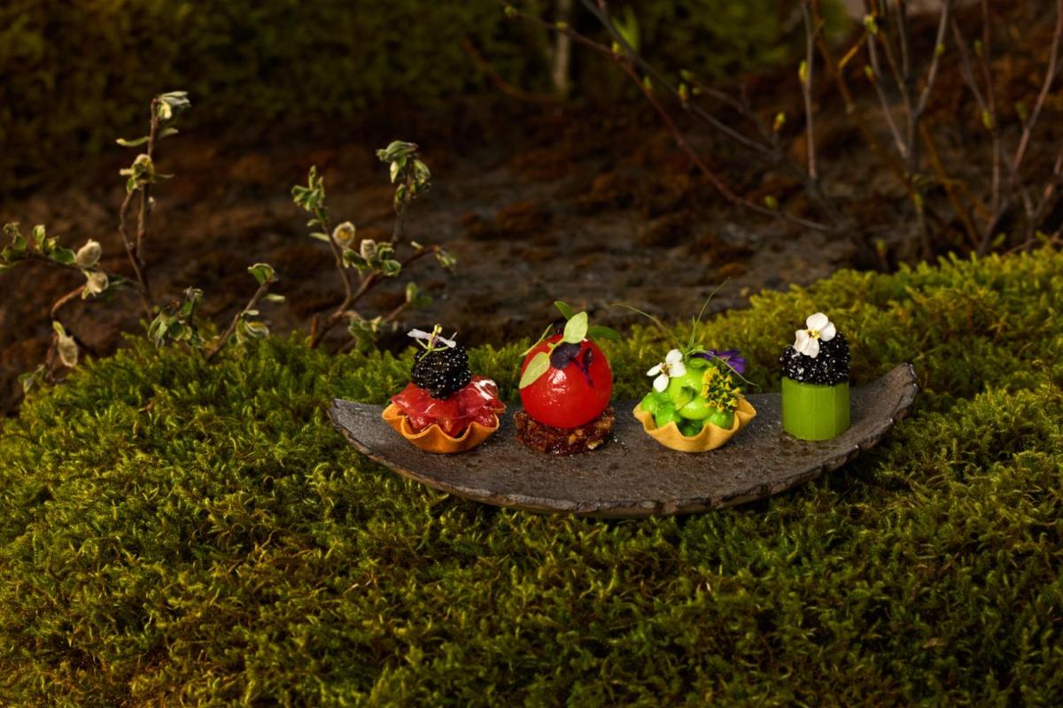 The Retreat at Blue Lagoon Iceland