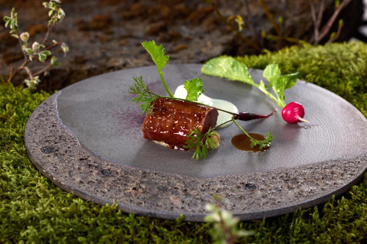 The Retreat at Blue Lagoon Iceland