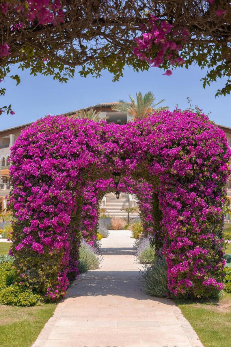 The St. Regis Mardavall Mallorca Resort