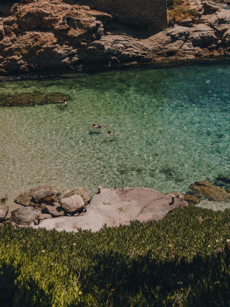 The Wild by Interni