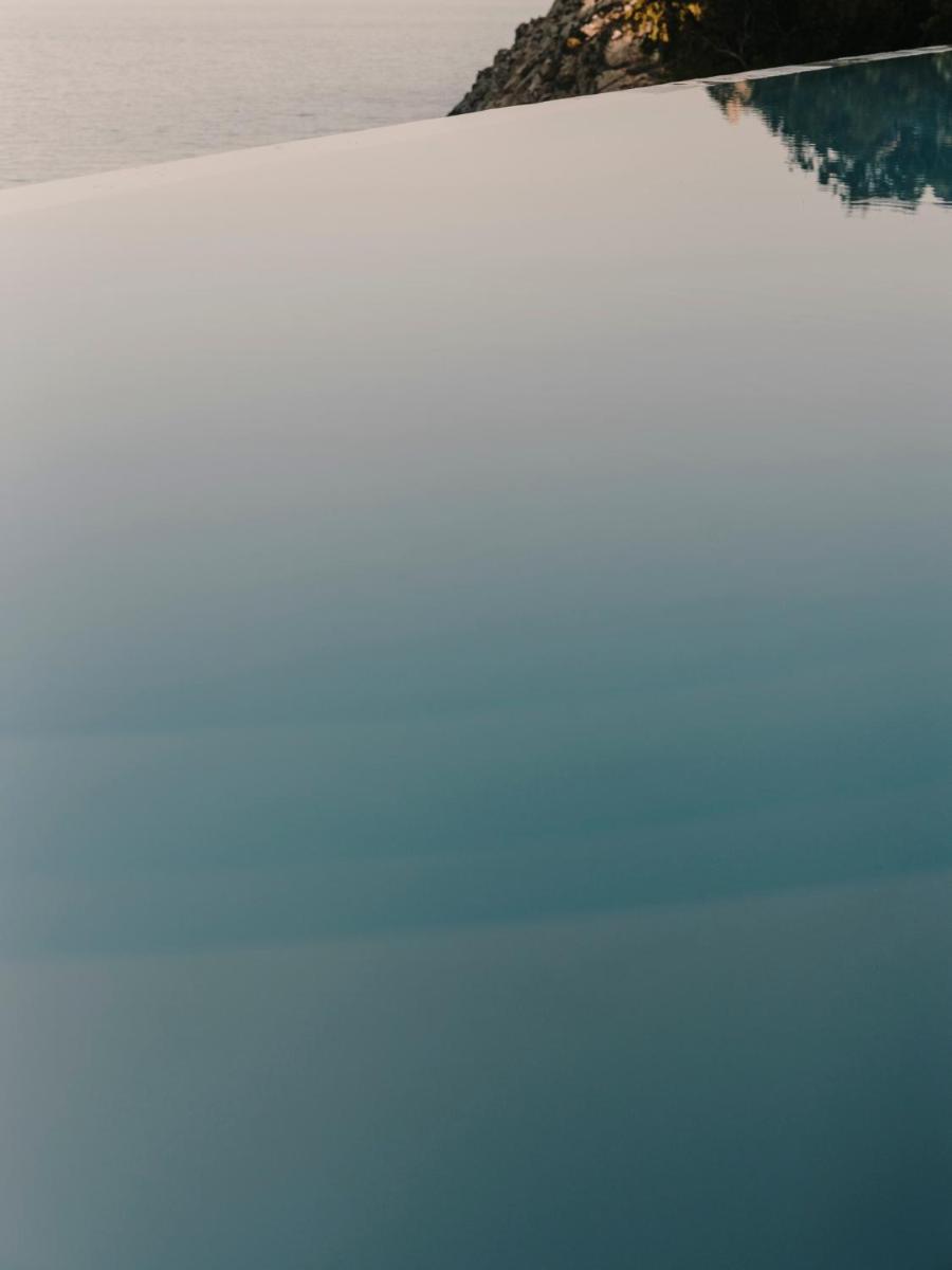 The Wild by Interni