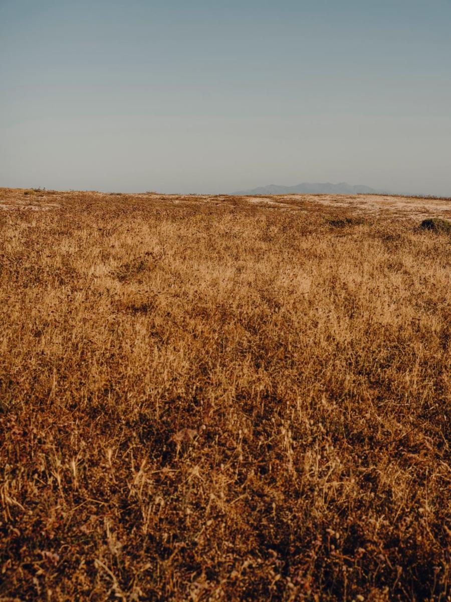 The Wild by Interni