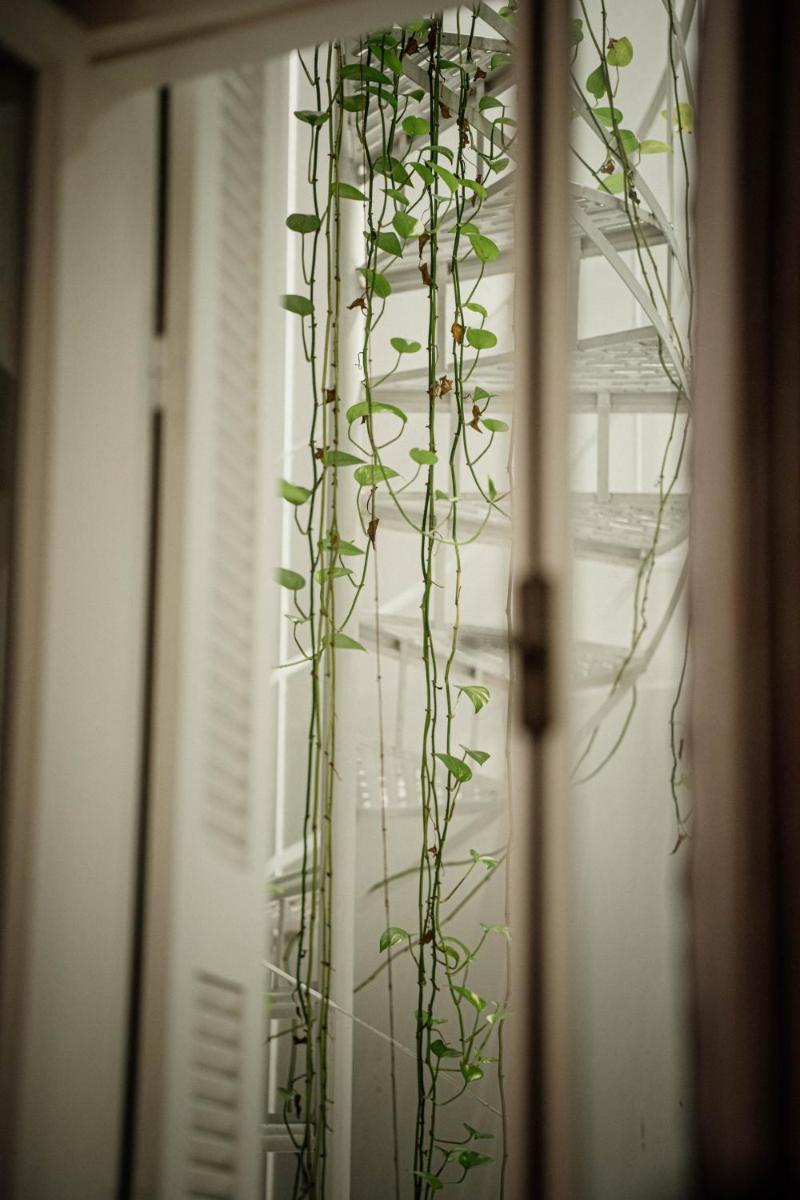 The Zillers Boutique Hotel