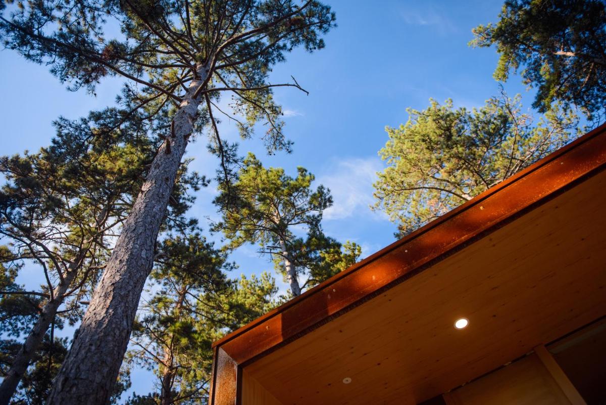 Theodosius Forest Village - Glamping in Vipava valley