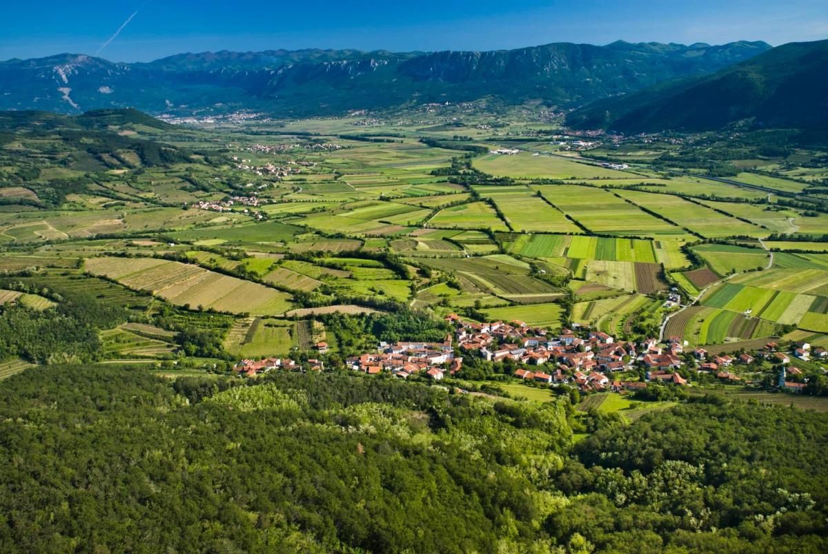 Theodosius Forest Village - Glamping in Vipava valley