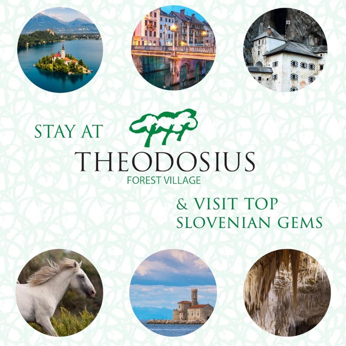 Theodosius Forest Village - Glamping in Vipava valley