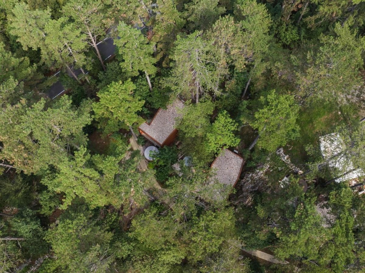 Theodosius Forest Village - Glamping in Vipava valley