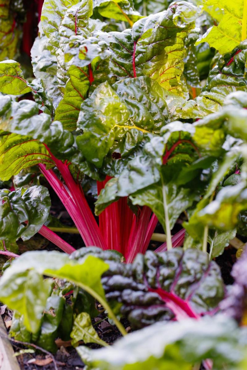 Thornbury Castle - A Relais & Chateaux Hotel