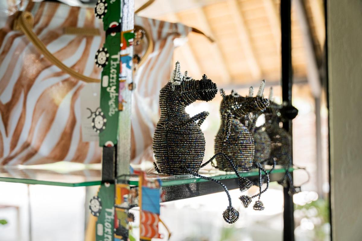 Thornybush Game Lodge