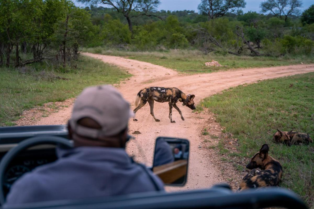 Thornybush Game Lodge
