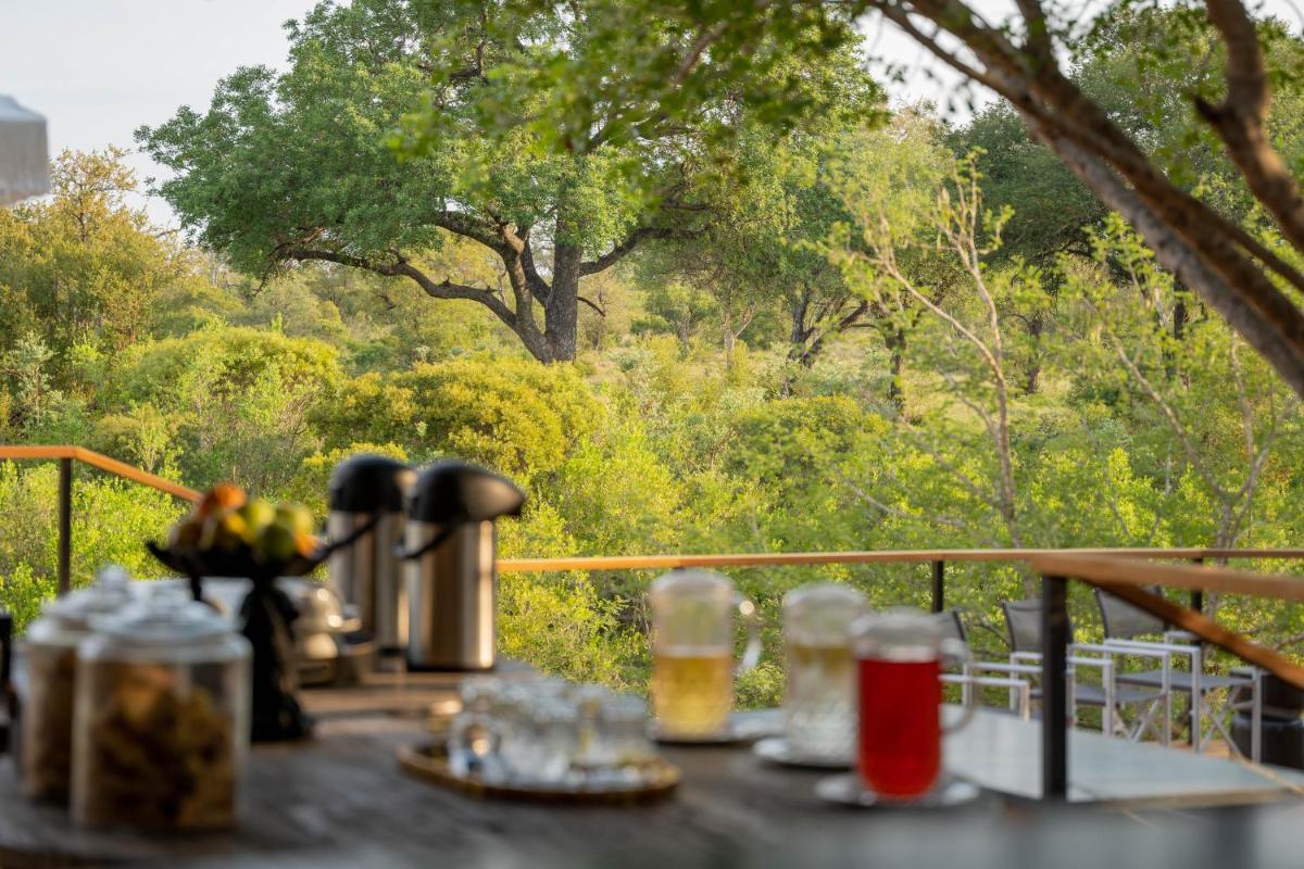 Thornybush Game Lodge
