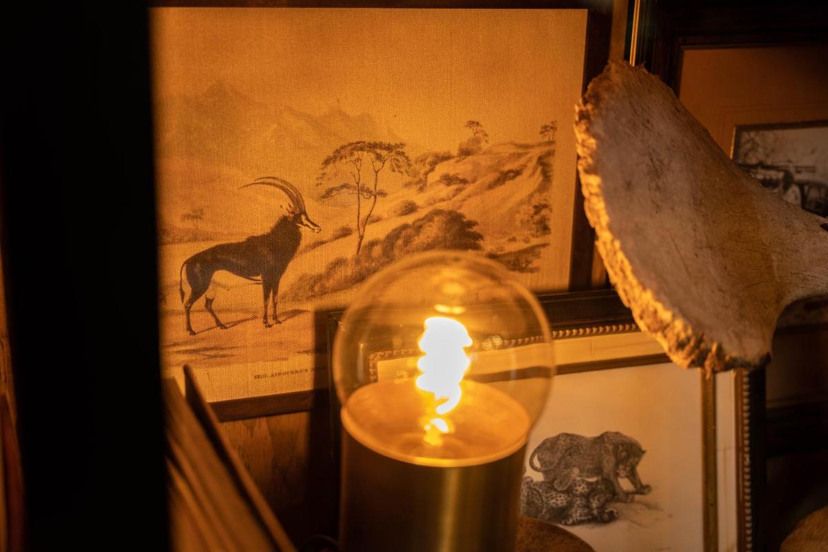 Thornybush Game Lodge