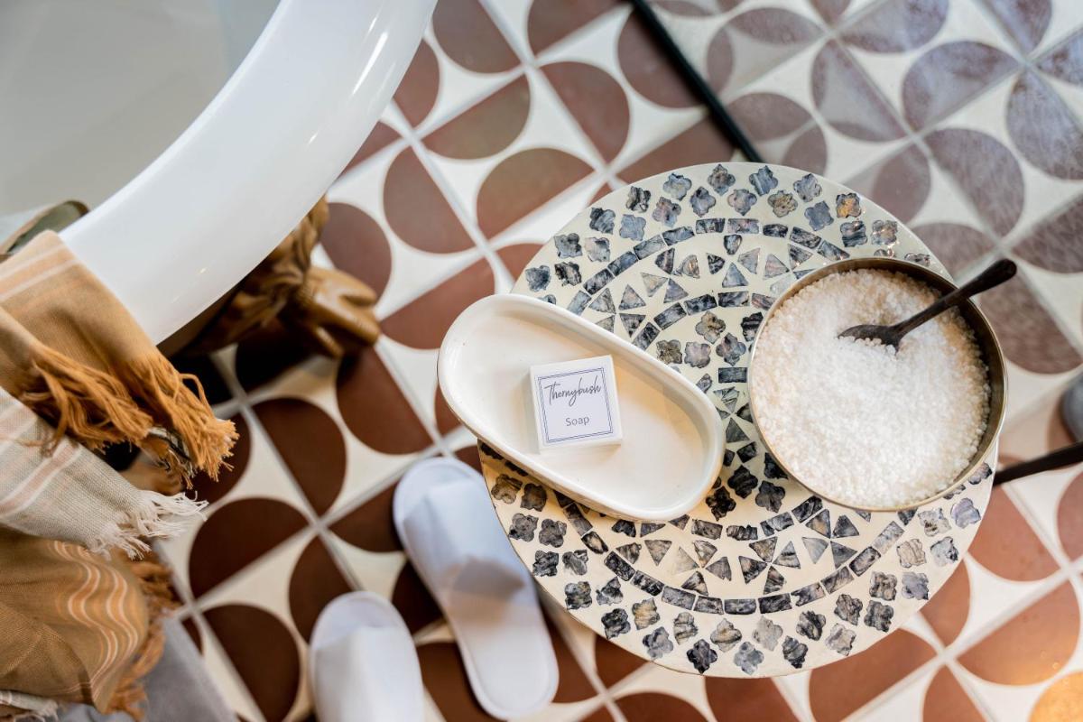 Thornybush Game Lodge