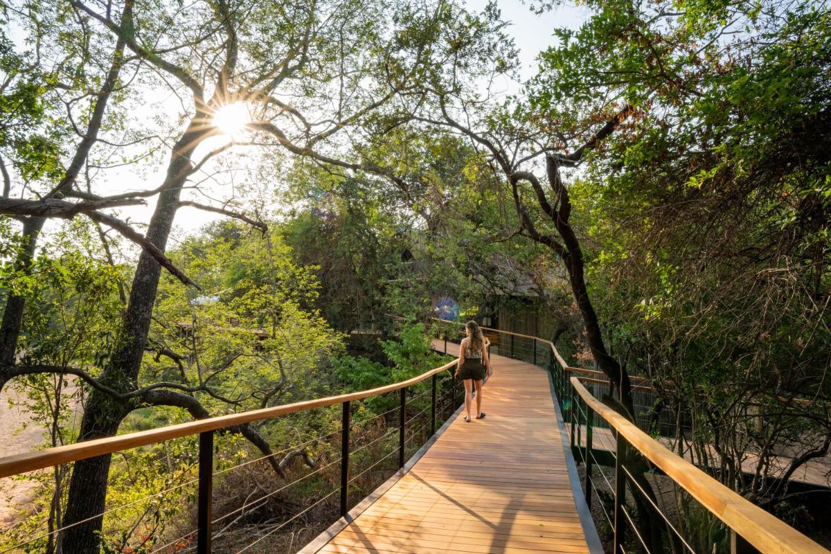 Thornybush Game Lodge