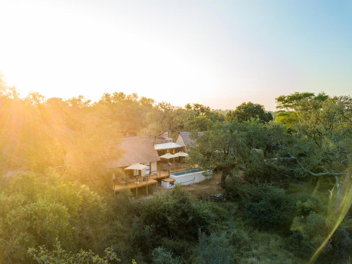 Thornybush Game Lodge