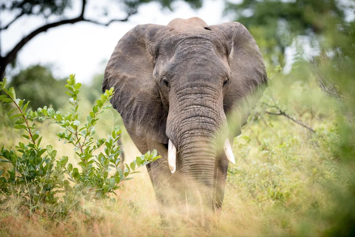 Serondella Safari Lodge