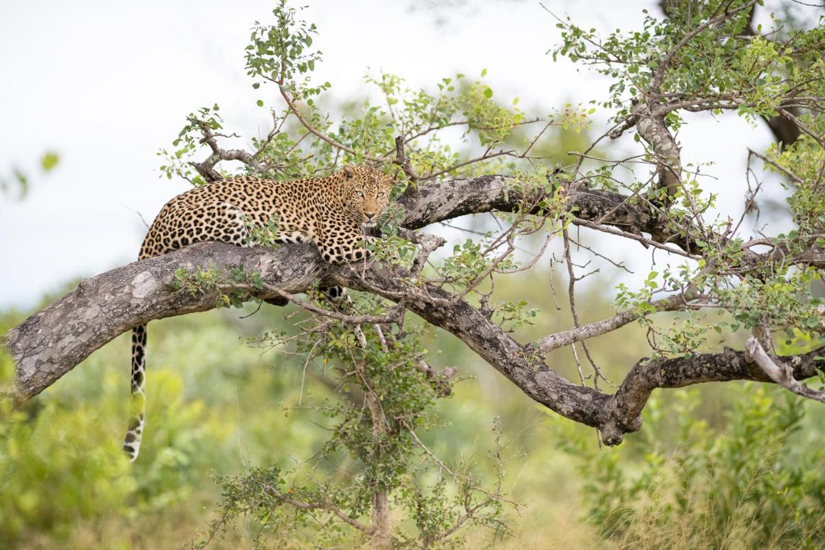 Serondella Safari Lodge
