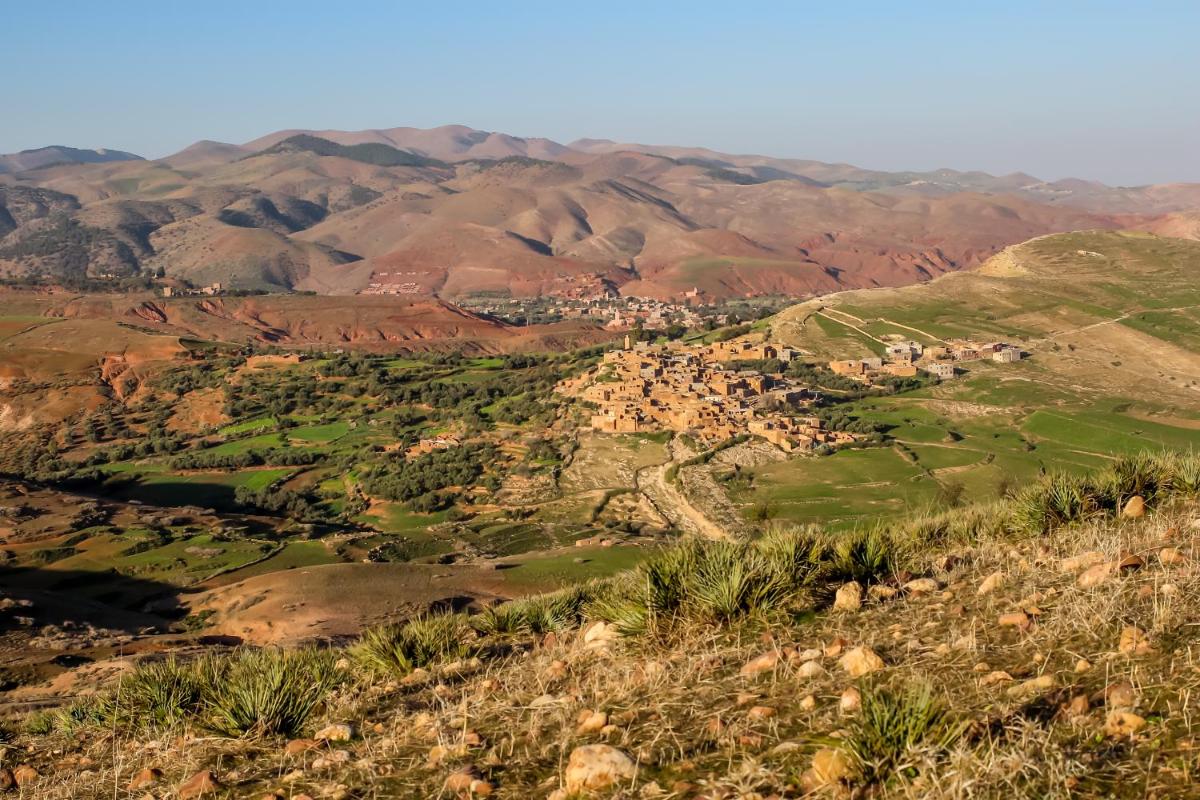 Tigmi Nomade