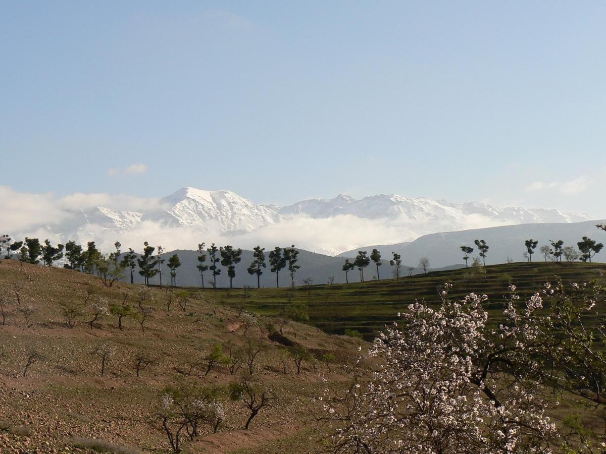Tigmi Nomade