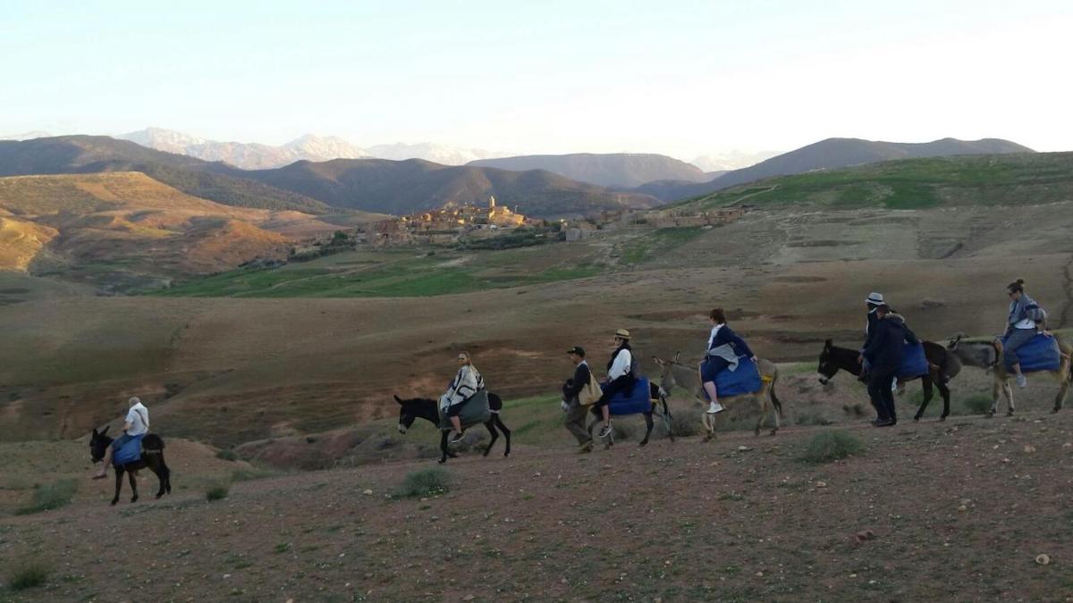Tigmi Nomade