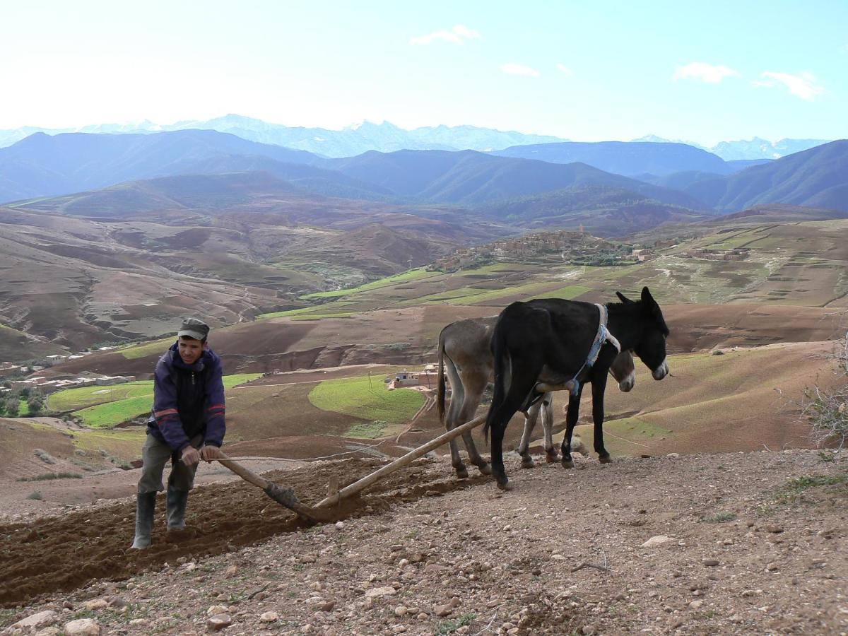 Tigmi Nomade
