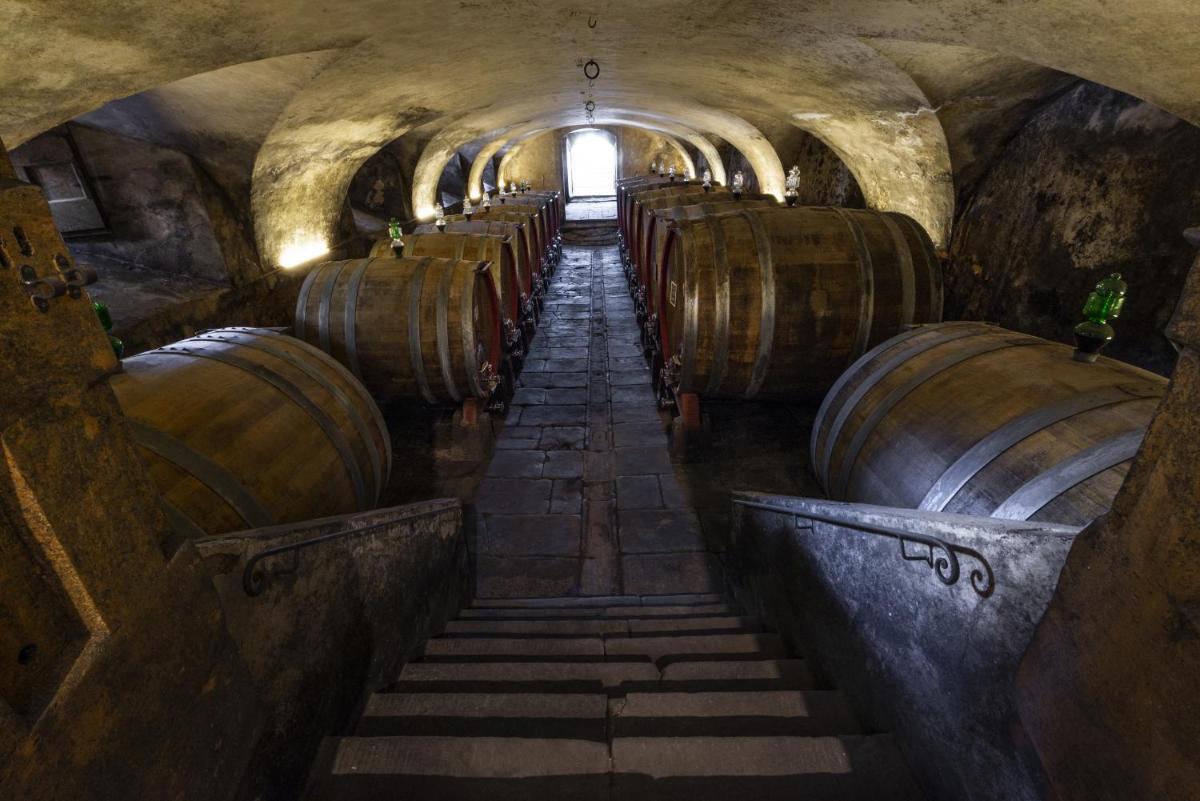 Torre a Cona Wine Estate