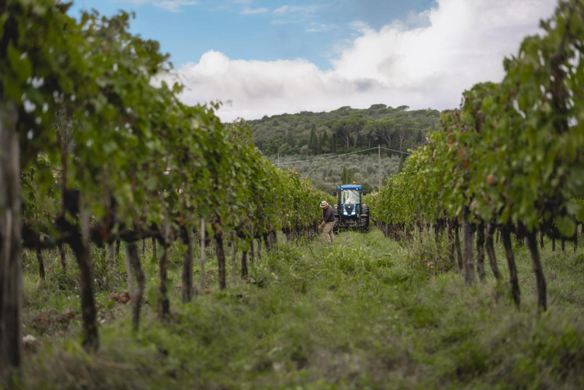 Torre a Cona Wine Estate