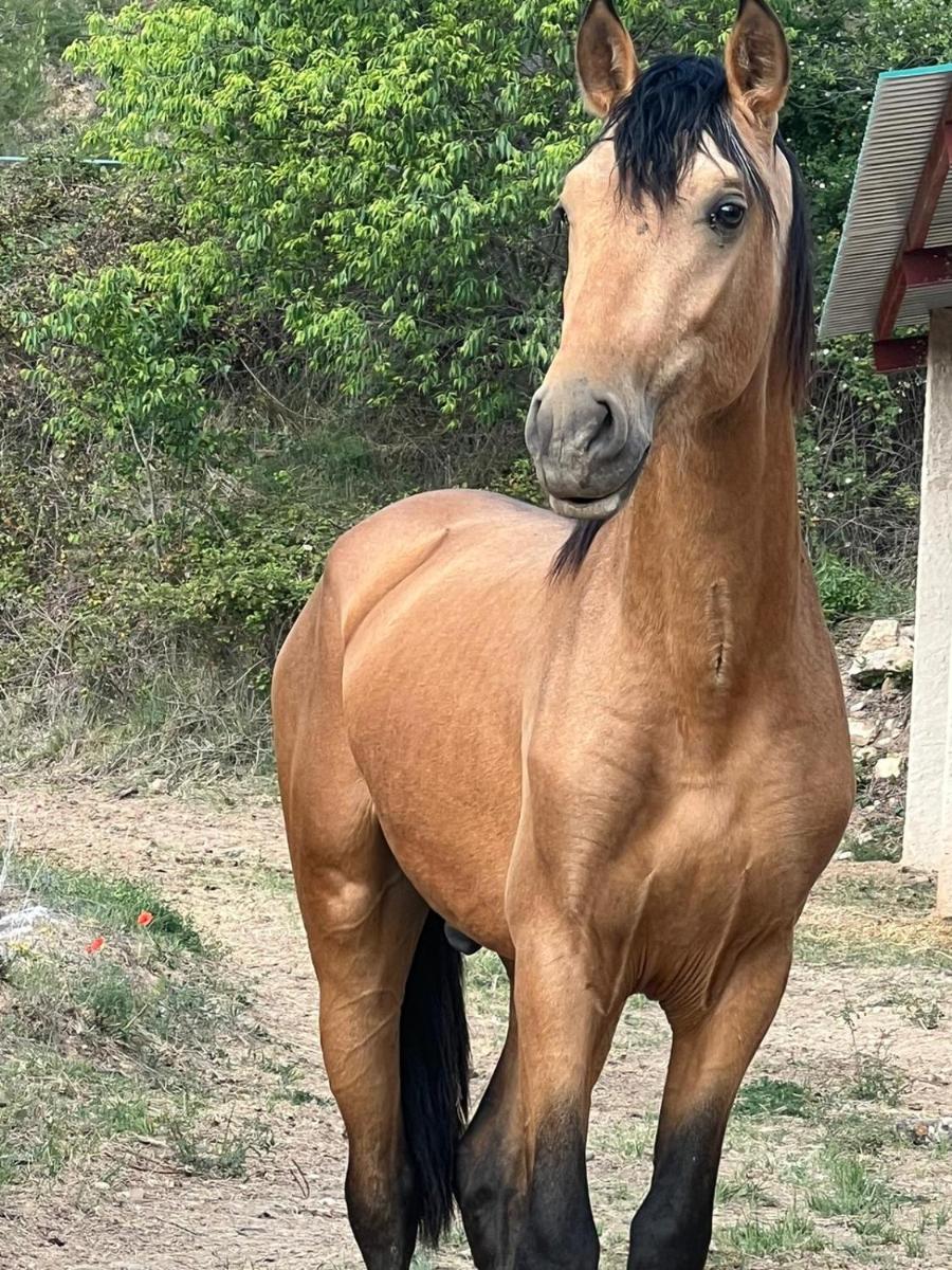 Torre del Marqués Hotel Spa & Winery - Small Luxury Hotels